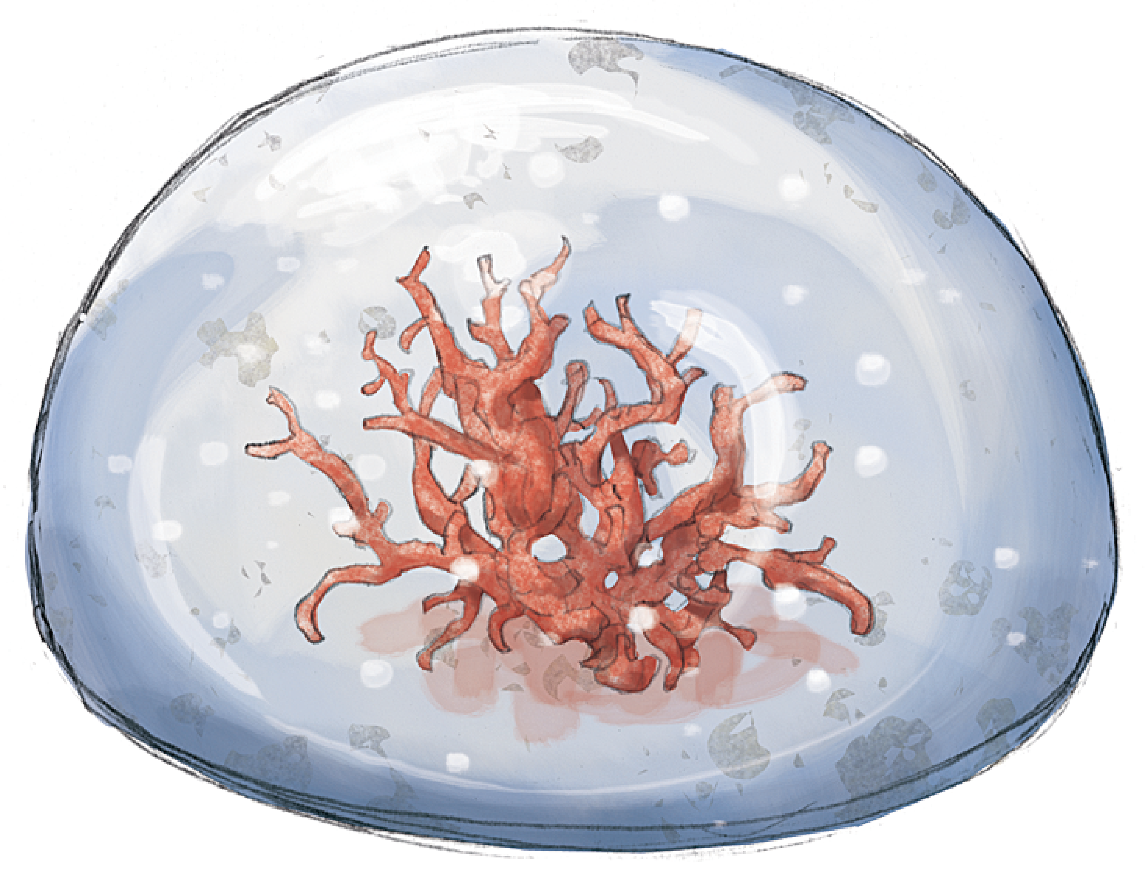 ilustració del lazarillo